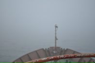 Фотография Логиновой Александры