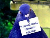 Наталка Гірка фотография #40 (источник - https://vk.com/id85587023)