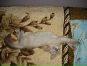 Янчик Ігор фотография #13 (источник - https://vk.com/id13336003)