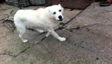 Дарья Вернер фотография #39 (источник - https://vk.com/id206414)