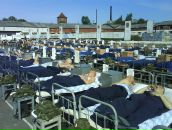 Фотография Кулябы Александра