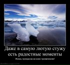 Фотография Шабановой Ирины