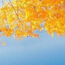 Євгенія Пісцо фотография #19 (источник - https://vk.com/id127833889)