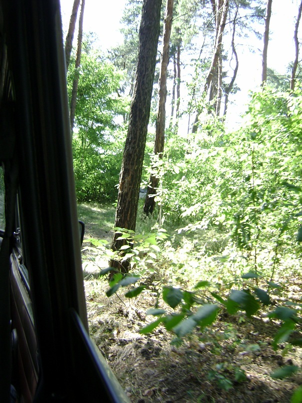 Алексей Мойсенко фотография #36