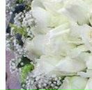 Алима Ибрагимова фотография #35 (источник - https://vk.com/id51221512)