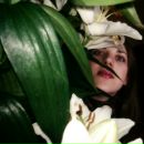 Фотография Stars Swimming