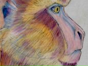 Фотография Kruzhalin Sergio