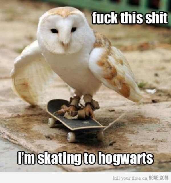 Einfach Engel фотография #18