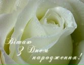 Лєнуля Тарасюк фотография #35 (источник - https://vk.com/id21858758)