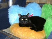 Фотография Суховой Марины