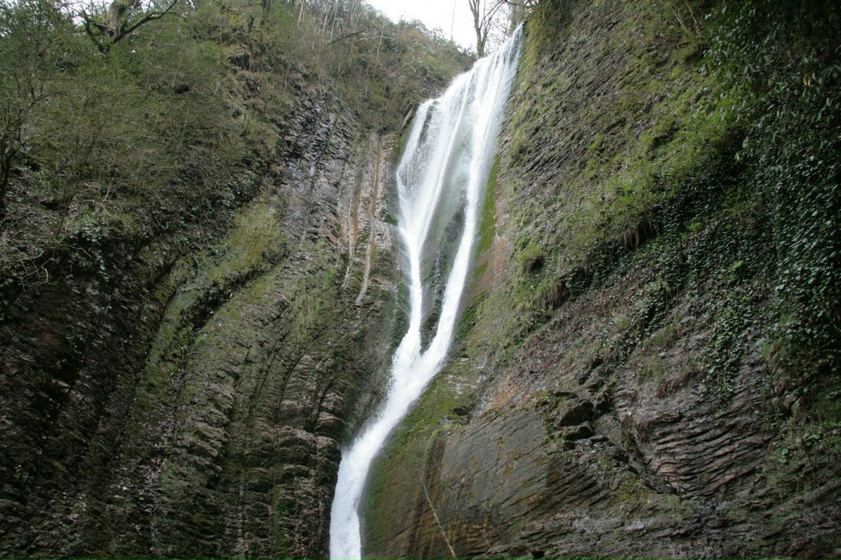 Дмитрий Полянский фотография #24