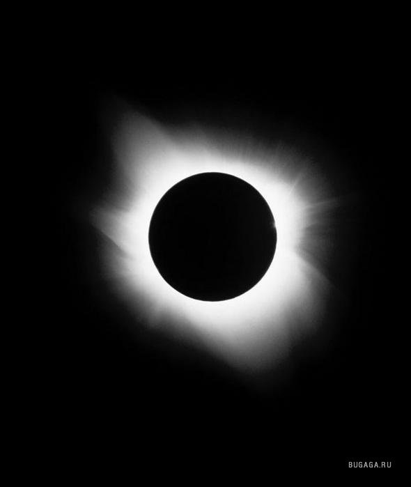 Дима Иванищев фотография #14