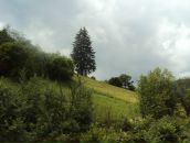 Назар Павлів фотография #41 (источник - https://vk.com/id26299511)