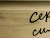 Аліна Бондар фотография #14 (источник - https://vk.com/id87918835)