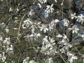 Віта Осавлюк фотография #44 (источник - https://vk.com/id56691101)