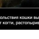 Марія Ткачук фотография #29 (источник - https://vk.com/id62966182)