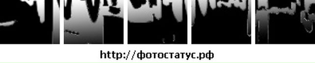 Den D фотография #11 (источник - https://vk.com/id9200327)