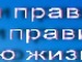 Міша Мішенька фотография #13 (источник - https://vk.com/id113414977)