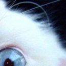 Андрій Яровий фотография #6 (источник - https://vk.com/id28962200)