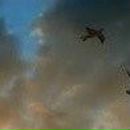 Владлєна Козачок фотография #19 (источник - https://vk.com/id98642620)