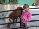 Лолита :) фотография #24 (источник - https://vk.com/id155035288)