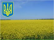 Іван Книшук фотография #16 (источник - https://vk.com/id33381474)