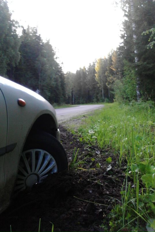 Panzer Alex фотография #7