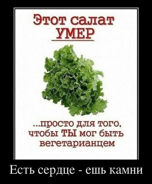 Павел Казаков фотография #10