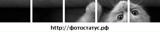 Аліна Ковальчук фотография #39 (источник - https://vk.com/id65433374)