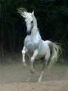 Οлеся Κудрявцева фотография #32 (источник - https://vk.com/id169427654)