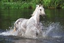 Οлеся Κудрявцева фотография #25 (источник - https://vk.com/id169427654)