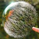 Віталій Співак фотография #2 (источник - https://vk.com/id133561906)