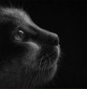 Фотография Симагин Станислав