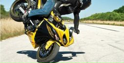 Фотография Липая Александра