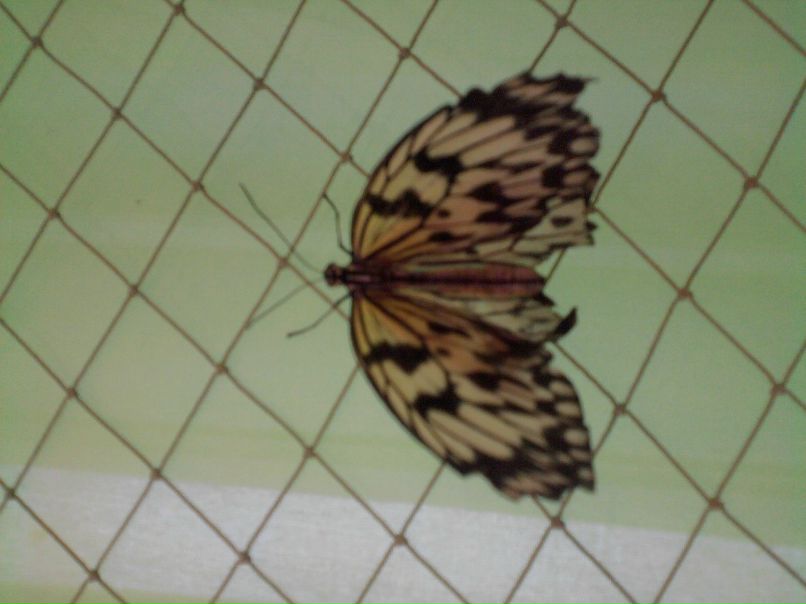 Катя Клименко фотография #34