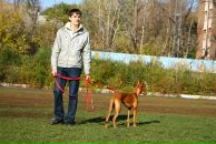 Фотография Гришина Дениса