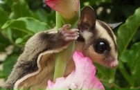 Юлия Демьянова фотография #23 (источник - https://vk.com/id650455)