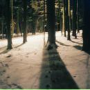 Фотография Winter Need