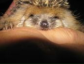 Фотография Порваткиной Елены