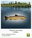 Анатолій Даценко фотография #34 (источник - https://vk.com/id67890914)