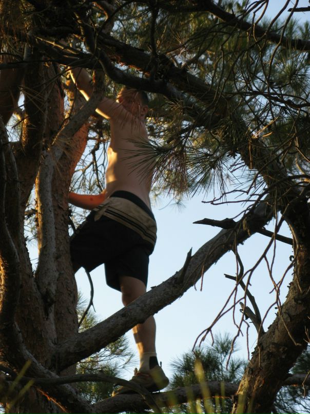 Cucumber Jam фотография #48