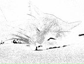 Андрій Давида фотография #20 (источник - https://vk.com/id10270199)