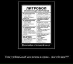 Сірьожа Дринь фотография #21 (источник - https://vk.com/id12497929)