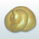 Денис Жажакін фотография #29 (источник - https://vk.com/id138610826)