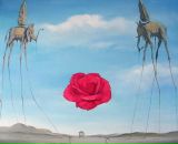 Фотография Манаенковой Елены