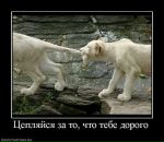 Фотография Семёновой Анастасии