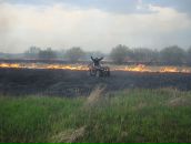 Максим Филатов фотография #10 (источник - https://vk.com/id4618446)