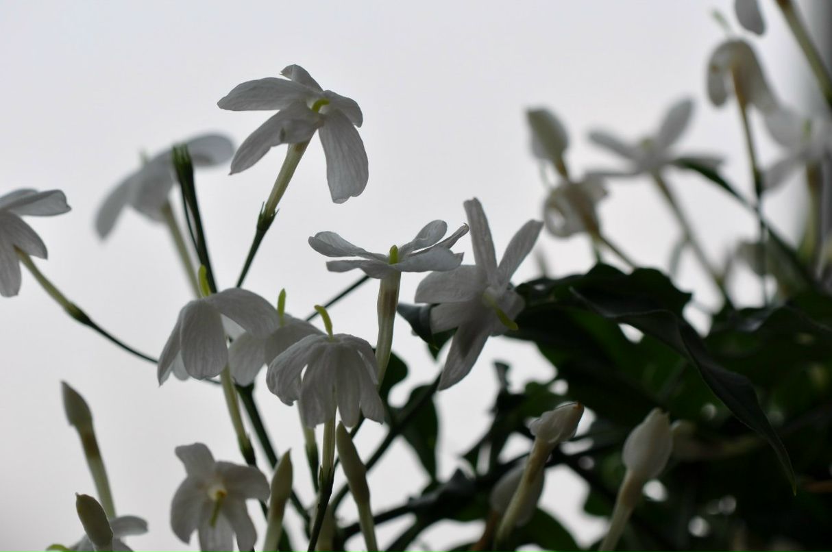 Андрей Мельников фотография #2