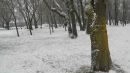 Игорь Алябьев фотография #45 (источник - https://vk.com/id17235707)