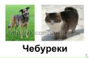 Тетяна Дембіцька фотография #14 (источник - https://vk.com/id179514247)